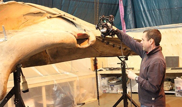 The MetraSCAN 3D scanning the skeleton of a blue whale