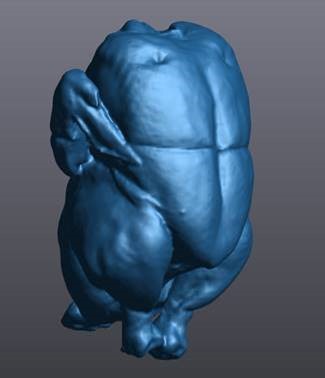 Escaneo completo en 3D del pollo Exceldor