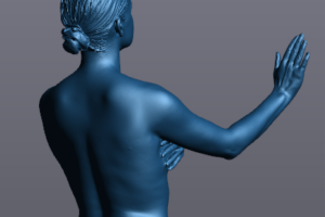 The blue scan rendering of the artist in VXmodel viewed from the back