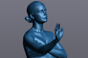 The blue scan rendering of the artist in VXmodel viewed from the front