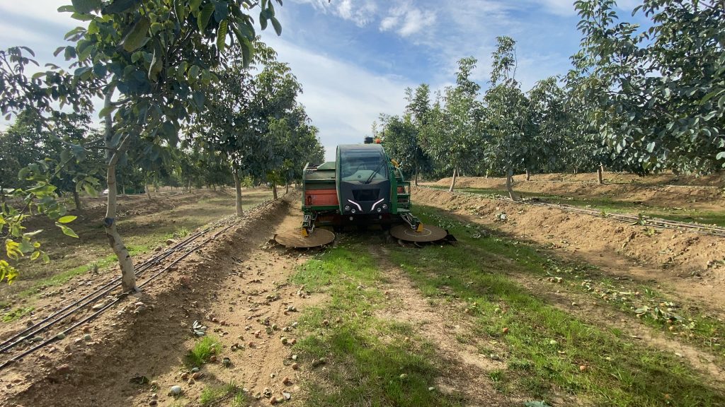 Green Monchiero harvester tractor working in orchard