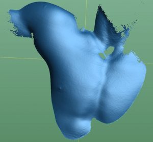 VXmodel 软件中一名男子躯干的蓝色三维扫描数据